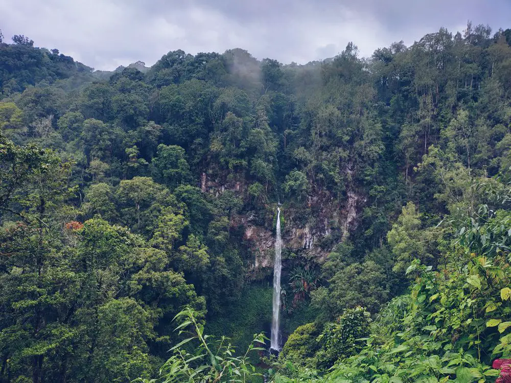غابات كوتا كينابالو