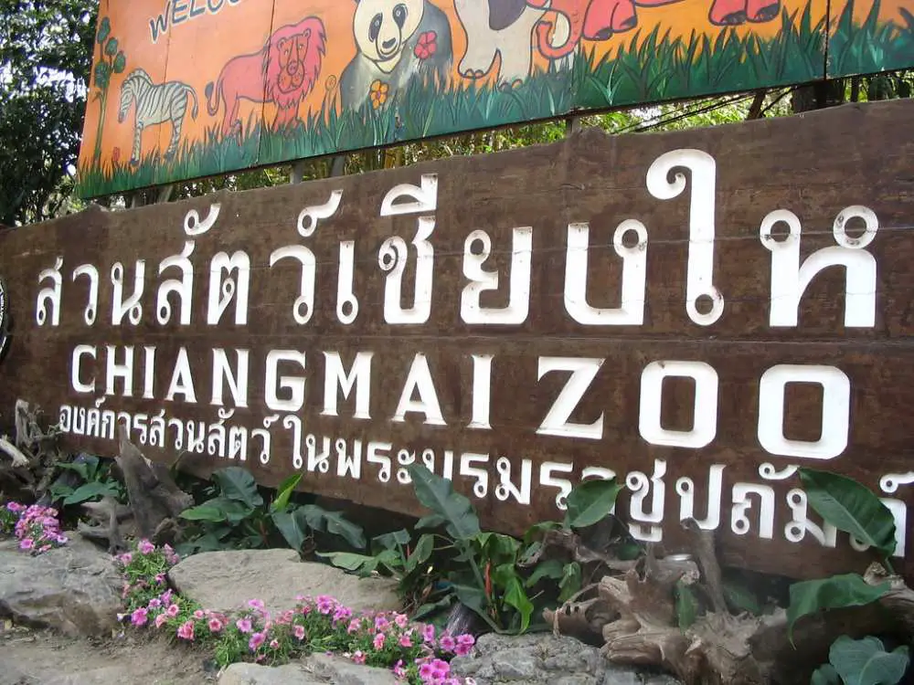 لمحبي تايلاند رحلة رائعة إلى حديقة حيوانات شنغماي