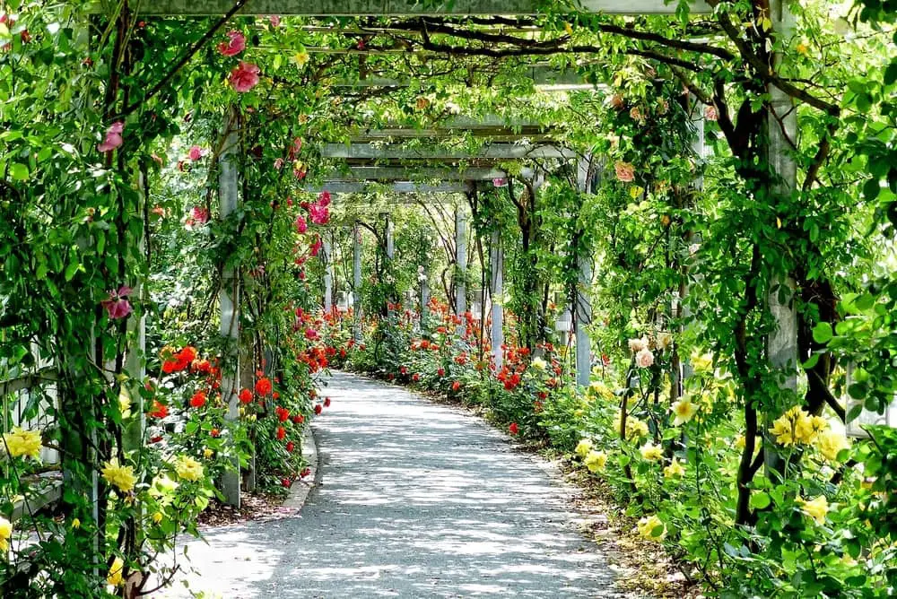 8 من أجمل حدائق ينبع لقضاء أفضل عطلة عائلية