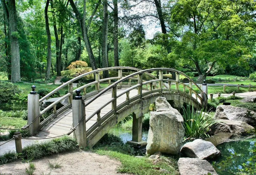 جسر داخل الحديقة