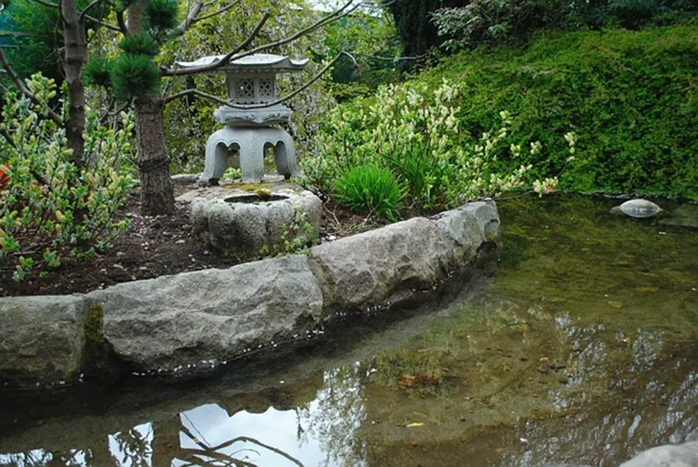 جمال الطراز الآسيوي في الحديقة اليابانية بحلوان