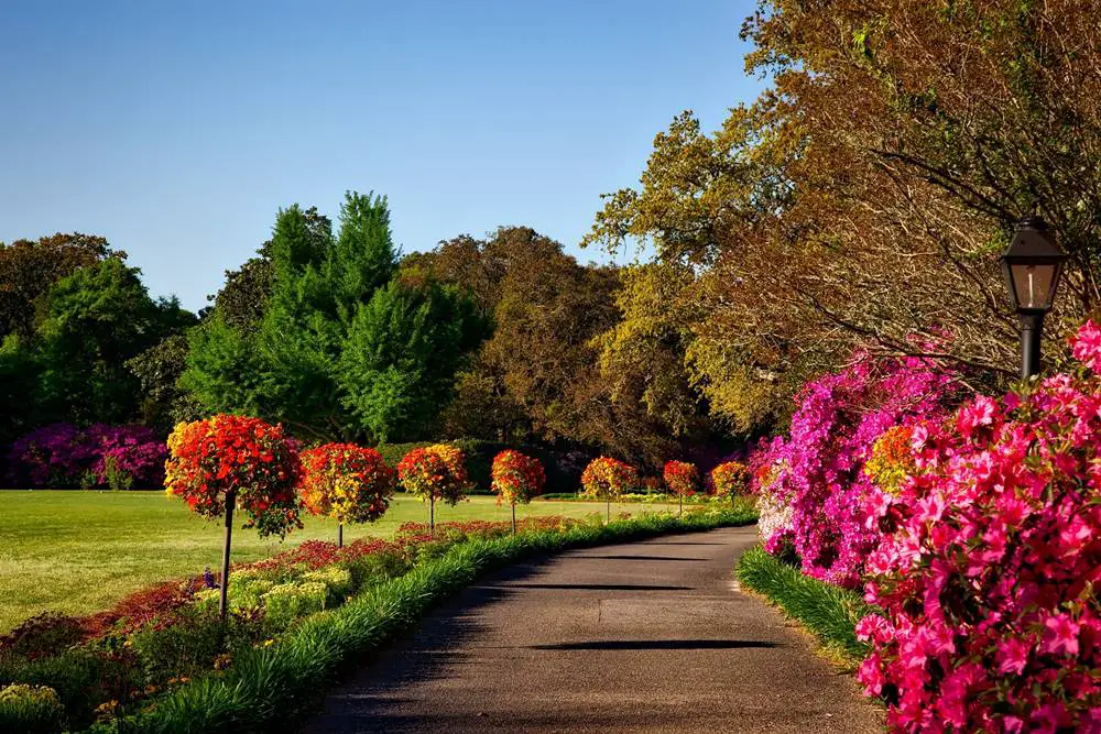 ما هي أجمل الحدائق في ستراسبورغ المناسبة للعطلات؟